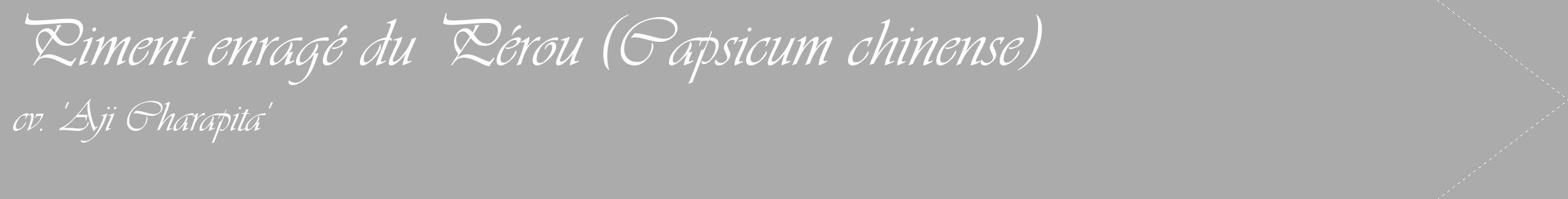 Étiquette de : Capsicum chinense cv. 'Aji Charapita' - format c - style blanche37_simple_simpleviv avec comestibilité