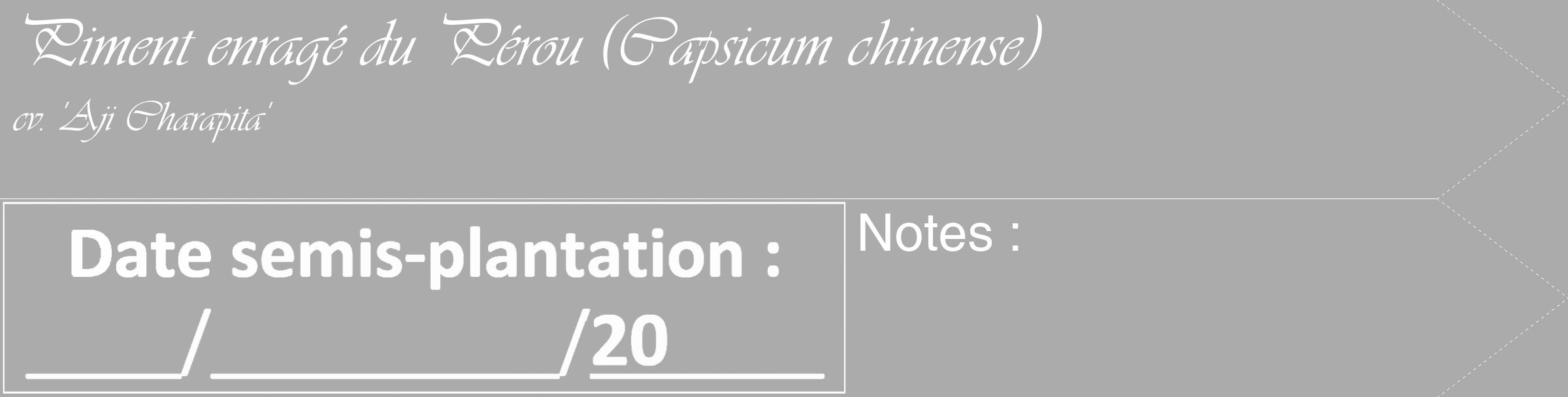Étiquette de : Capsicum chinense cv. 'Aji Charapita' - format c - style blanche37_simple_simpleviv avec comestibilité