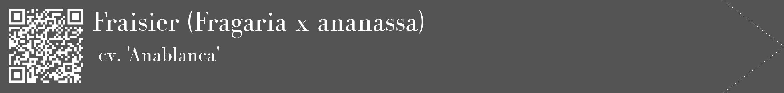 Étiquette de : Fragaria x ananassa cv. 'Anablanca' - format c - style blanche36_simple_simplebod avec qrcode et comestibilité