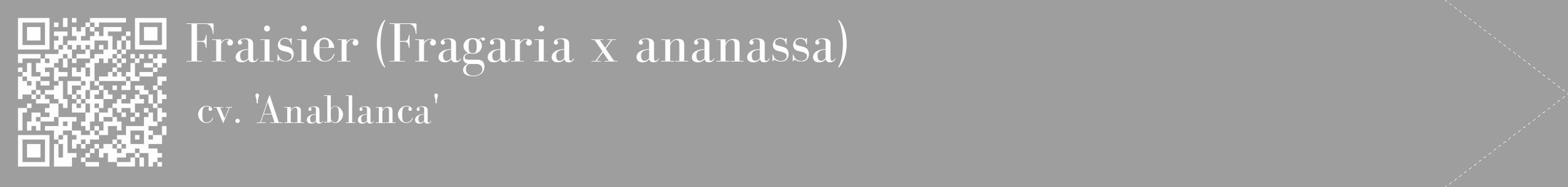 Étiquette de : Fragaria x ananassa cv. 'Anablanca' - format c - style blanche42_simple_simplebod avec qrcode et comestibilité
