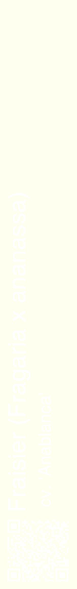 Étiquette de : Fragaria x ananassa cv. 'Anablanca' - format c - style blanche19_basiquehel avec qrcode et comestibilité