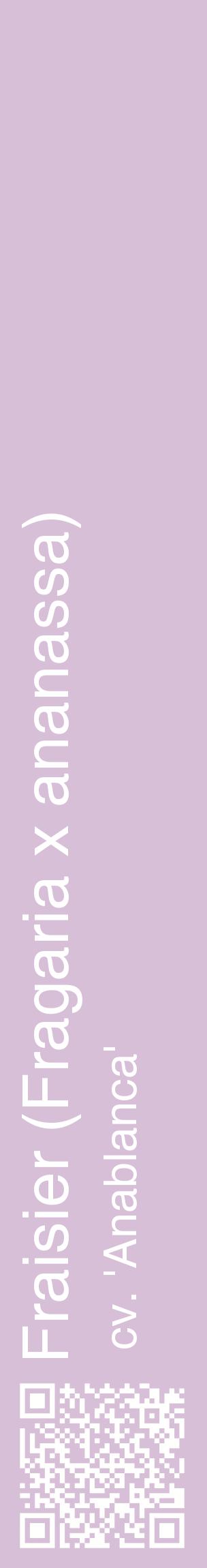 Étiquette de : Fragaria x ananassa cv. 'Anablanca' - format c - style blanche54_basiquehel avec qrcode et comestibilité