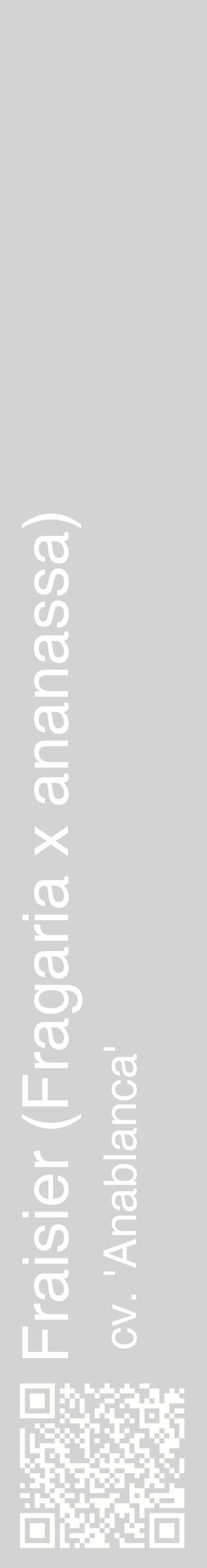 Étiquette de : Fragaria x ananassa cv. 'Anablanca' - format c - style blanche56_basiquehel avec qrcode et comestibilité