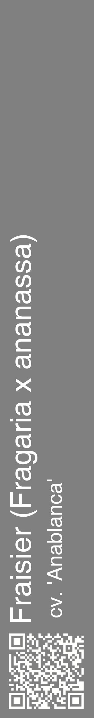 Étiquette de : Fragaria x ananassa cv. 'Anablanca' - format c - style blanche57_basiquehel avec qrcode et comestibilité