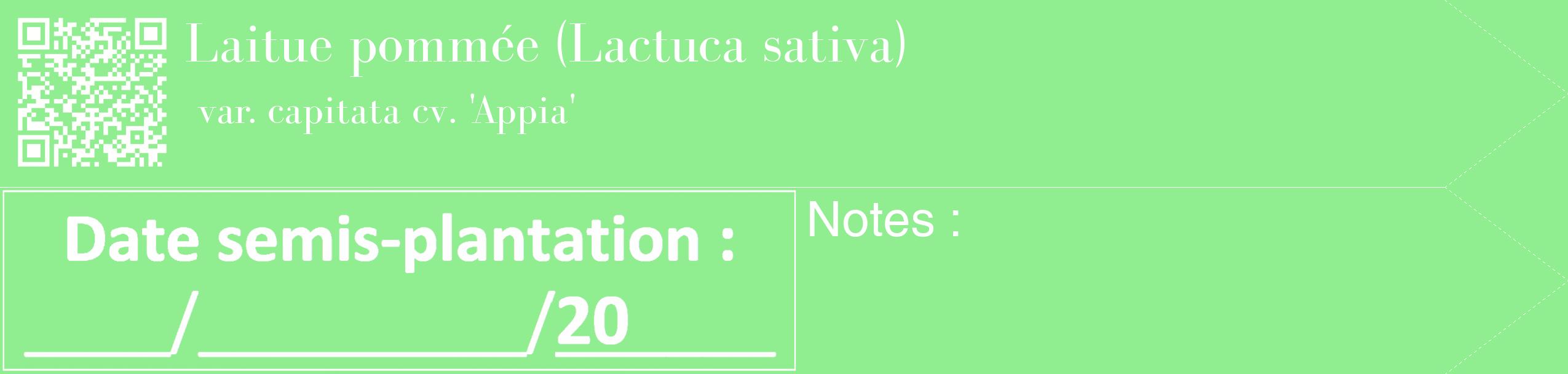 Étiquette de : Lactuca sativa var. capitata cv. 'Appia' - format c - style blanche15_simple_simplebod avec qrcode et comestibilité