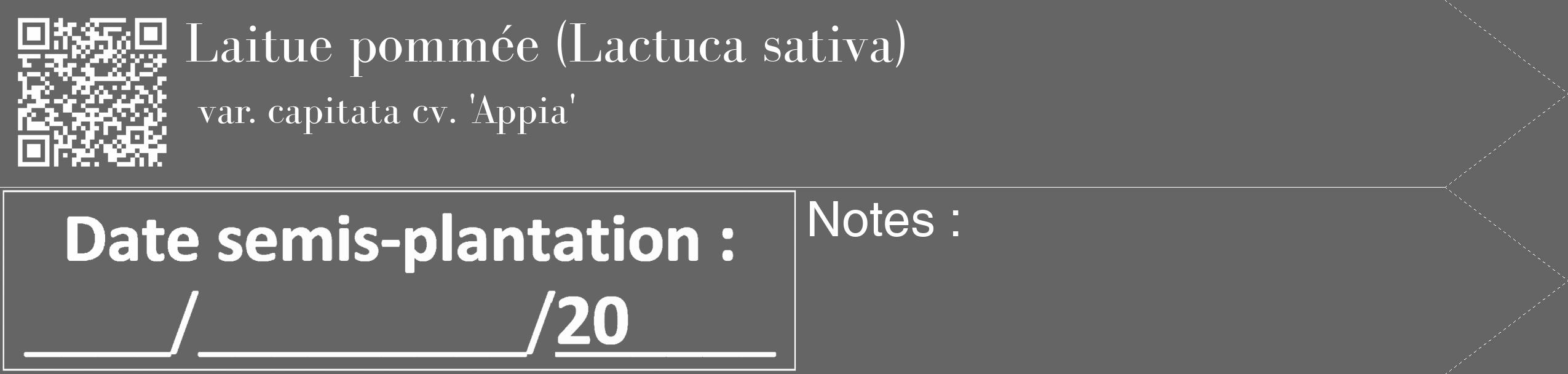 Étiquette de : Lactuca sativa var. capitata cv. 'Appia' - format c - style blanche32_simple_simplebod avec qrcode et comestibilité