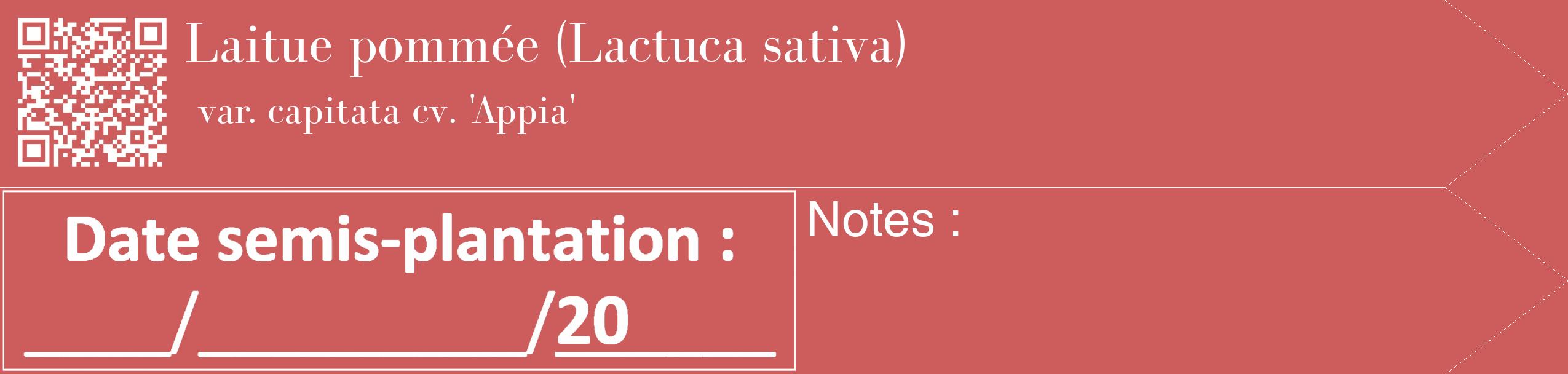 Étiquette de : Lactuca sativa var. capitata cv. 'Appia' - format c - style blanche35_simple_simplebod avec qrcode et comestibilité