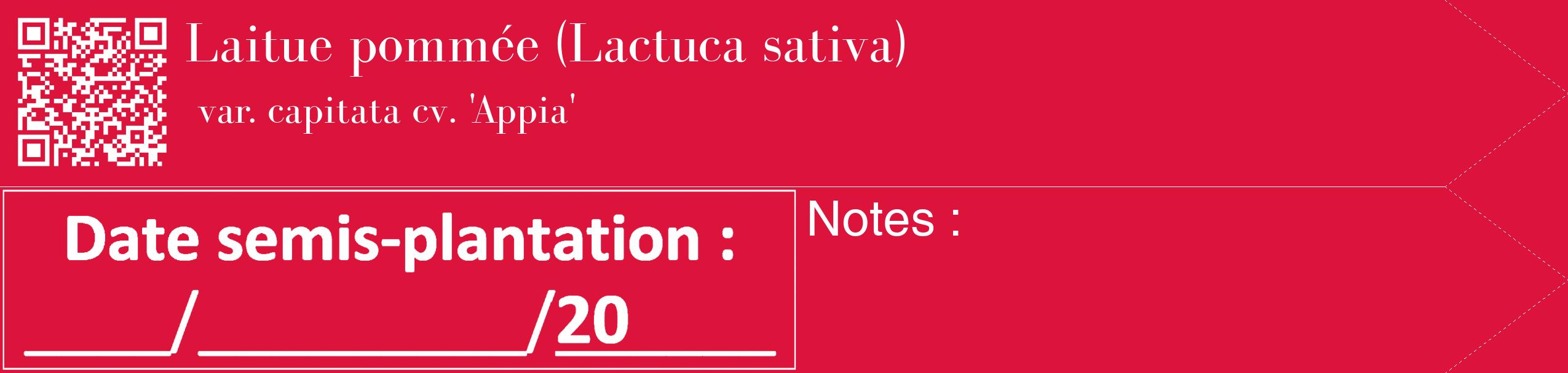 Étiquette de : Lactuca sativa var. capitata cv. 'Appia' - format c - style blanche36_simple_simplebod avec qrcode et comestibilité