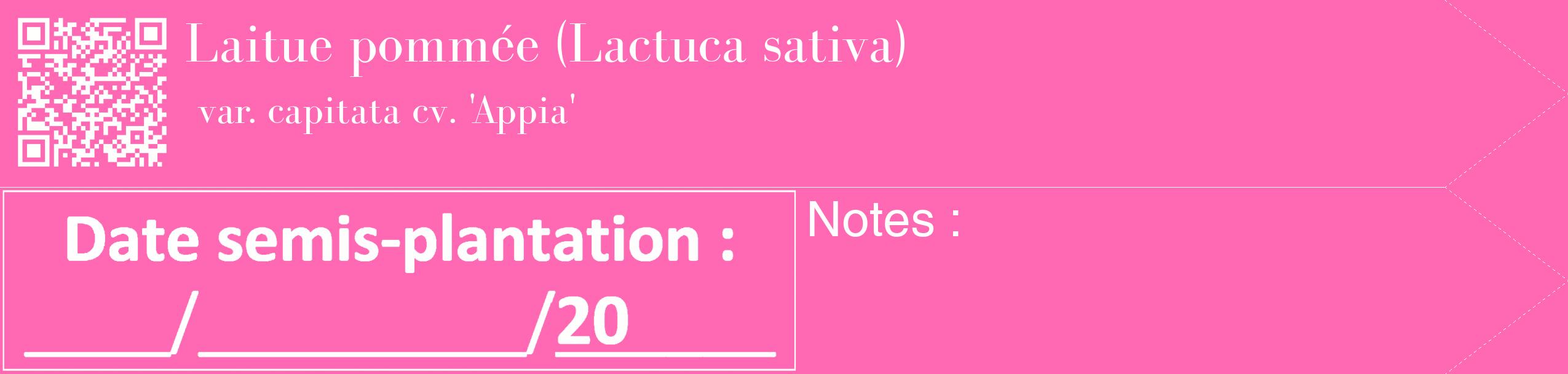 Étiquette de : Lactuca sativa var. capitata cv. 'Appia' - format c - style blanche42_simple_simplebod avec qrcode et comestibilité