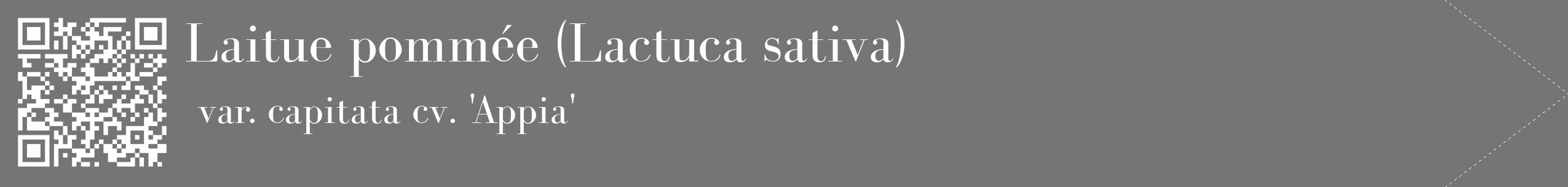 Étiquette de : Lactuca sativa var. capitata cv. 'Appia' - format c - style blanche5_simple_simplebod avec qrcode et comestibilité