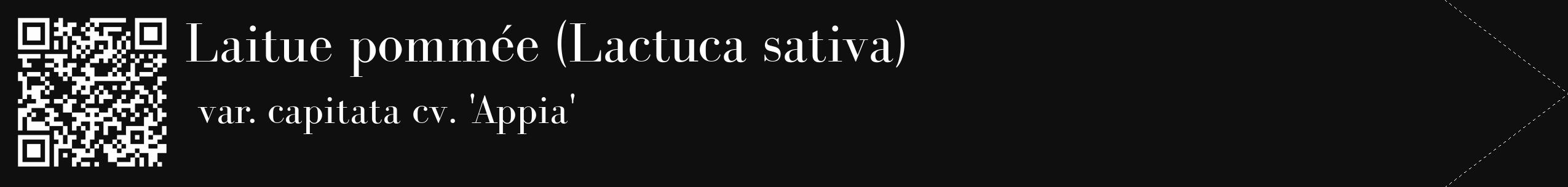 Étiquette de : Lactuca sativa var. capitata cv. 'Appia' - format c - style blanche7_simple_simplebod avec qrcode et comestibilité