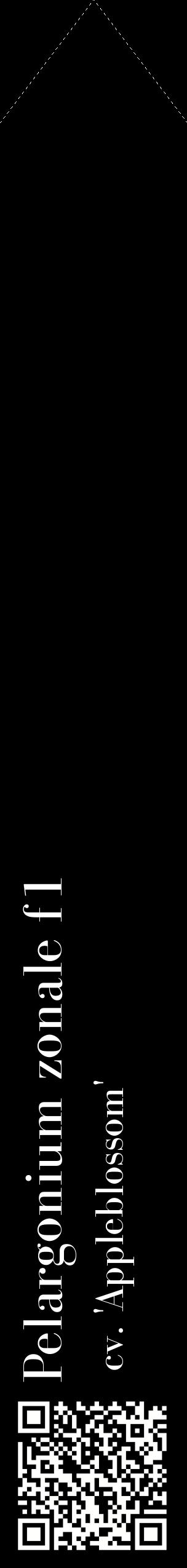 Étiquette de : Pelargonium zonale f1 cv. 'Appleblossom' - format c - style blanche59_simplebod avec qrcode et comestibilité