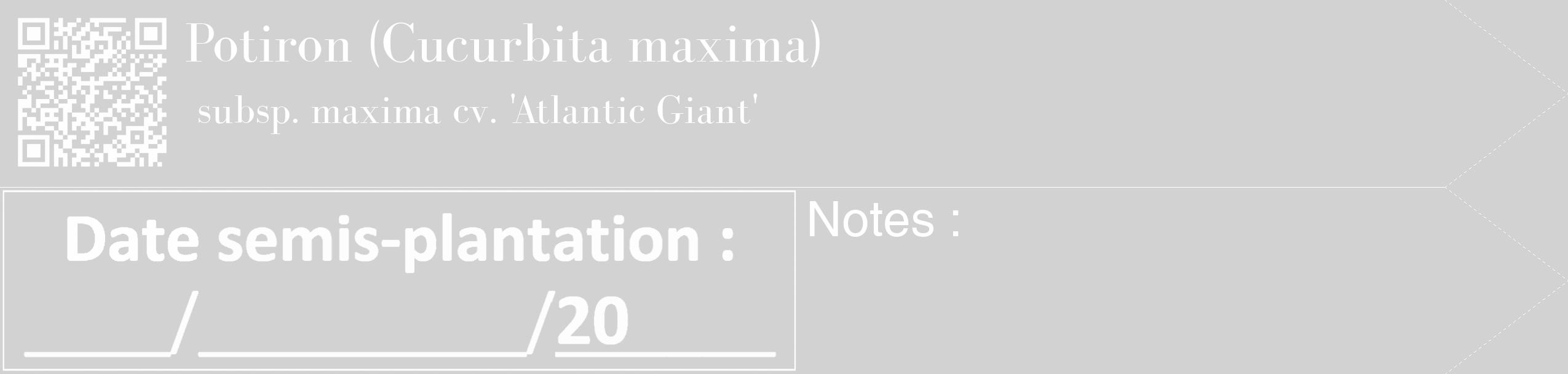 Étiquette de : Cucurbita maxima subsp. maxima cv. 'Atlantic Giant' - format c - style blanche14_simple_simplebod avec qrcode et comestibilité