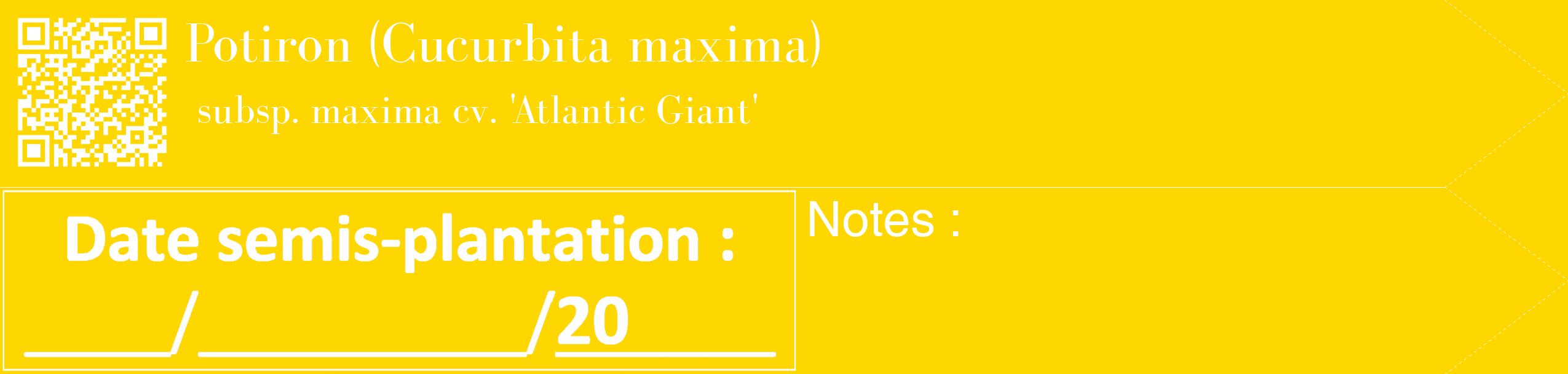 Étiquette de : Cucurbita maxima subsp. maxima cv. 'Atlantic Giant' - format c - style blanche21_simple_simplebod avec qrcode et comestibilité