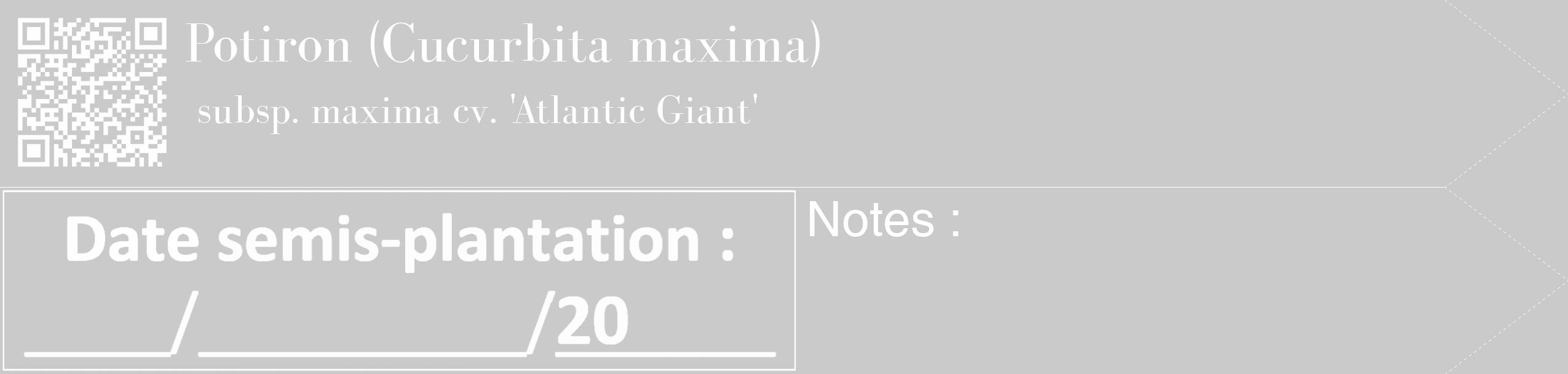 Étiquette de : Cucurbita maxima subsp. maxima cv. 'Atlantic Giant' - format c - style blanche21_simple_simplebod avec qrcode et comestibilité