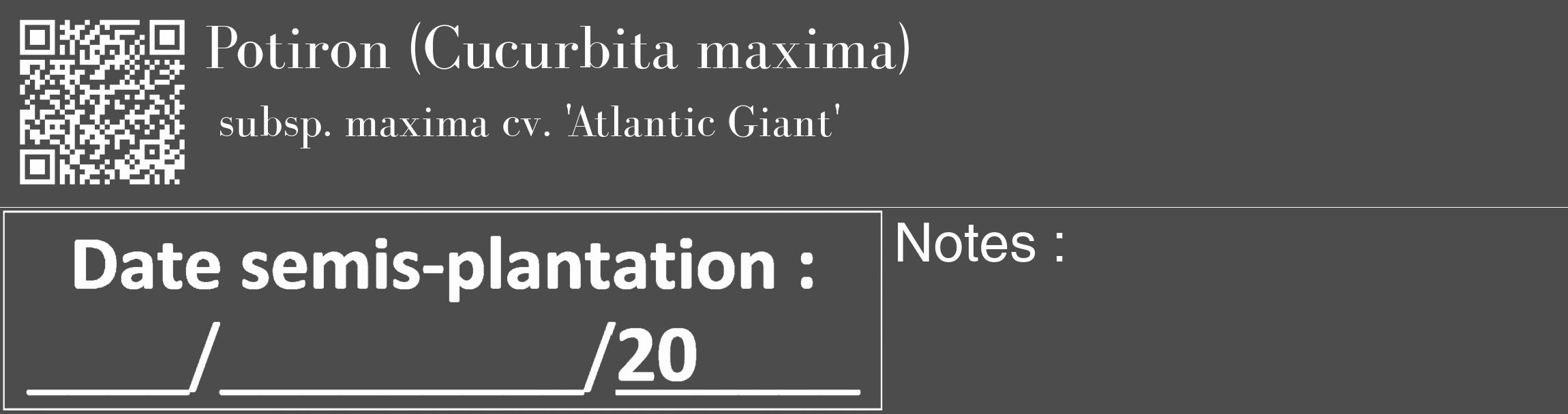 Étiquette de : Cucurbita maxima subsp. maxima cv. 'Atlantic Giant' - format c - style blanche27_basique_basiquebod avec qrcode et comestibilité