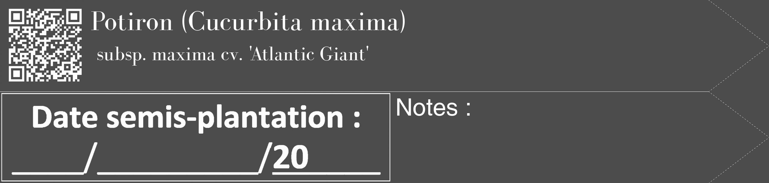 Étiquette de : Cucurbita maxima subsp. maxima cv. 'Atlantic Giant' - format c - style blanche27_simple_simplebod avec qrcode et comestibilité