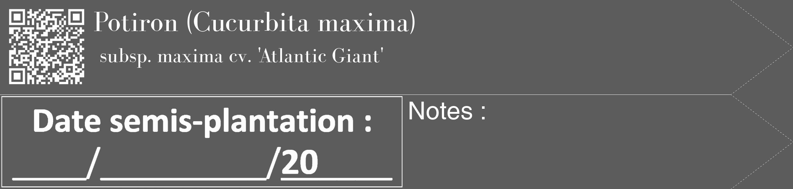 Étiquette de : Cucurbita maxima subsp. maxima cv. 'Atlantic Giant' - format c - style blanche49_simple_simplebod avec qrcode et comestibilité