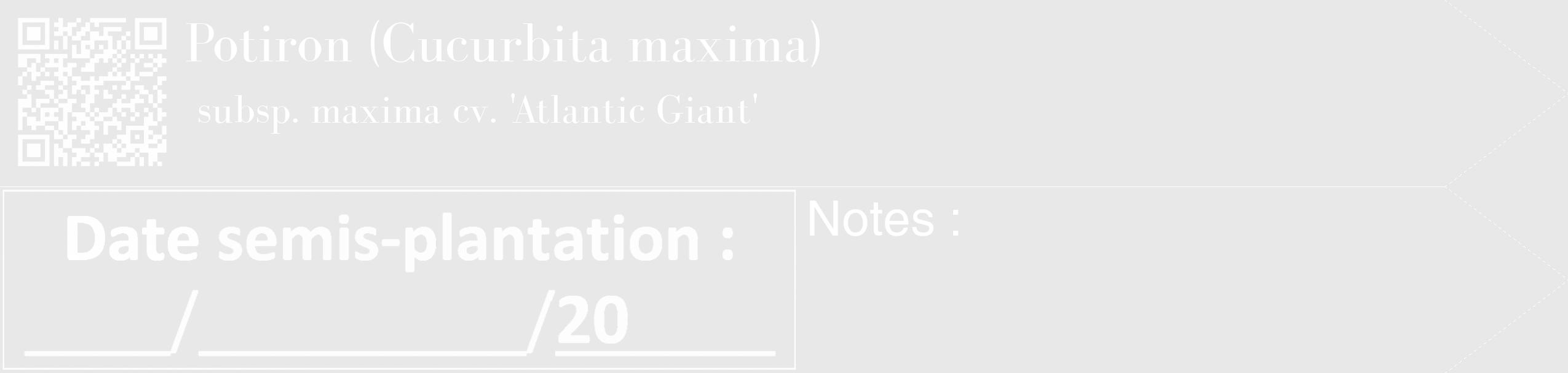 Étiquette de : Cucurbita maxima subsp. maxima cv. 'Atlantic Giant' - format c - style blanche55_simple_simplebod avec qrcode et comestibilité