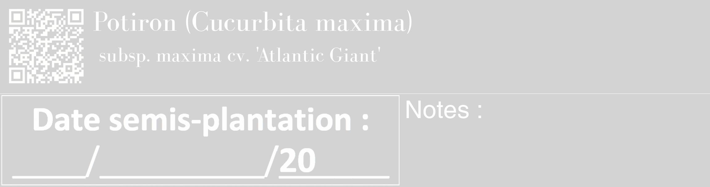 Étiquette de : Cucurbita maxima subsp. maxima cv. 'Atlantic Giant' - format c - style blanche56_basique_basiquebod avec qrcode et comestibilité