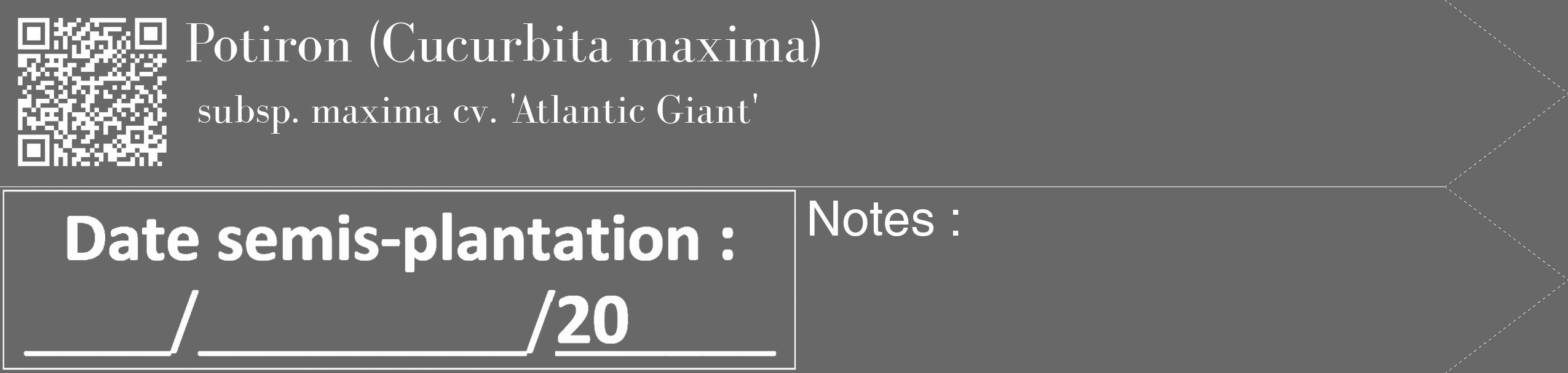 Étiquette de : Cucurbita maxima subsp. maxima cv. 'Atlantic Giant' - format c - style blanche6_simple_simplebod avec qrcode et comestibilité