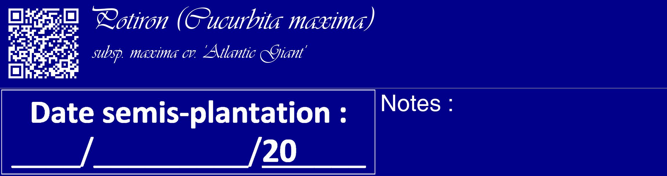 Étiquette de : Cucurbita maxima subsp. maxima cv. 'Atlantic Giant' - format c - style blanche7_basique_basiqueviv avec qrcode et comestibilité