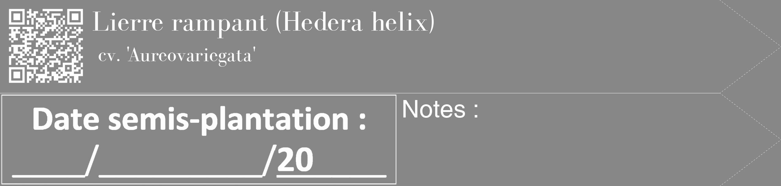 Étiquette de : Hedera helix cv. 'Aureovariegata' - format c - style blanche12_simple_simplebod avec qrcode et comestibilité