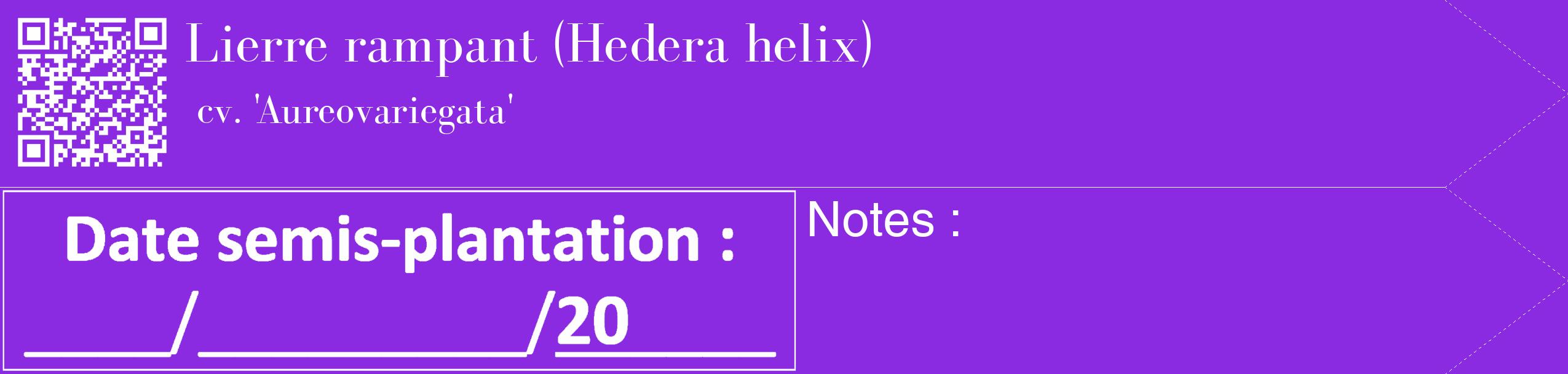 Étiquette de : Hedera helix cv. 'Aureovariegata' - format c - style blanche49_simple_simplebod avec qrcode et comestibilité