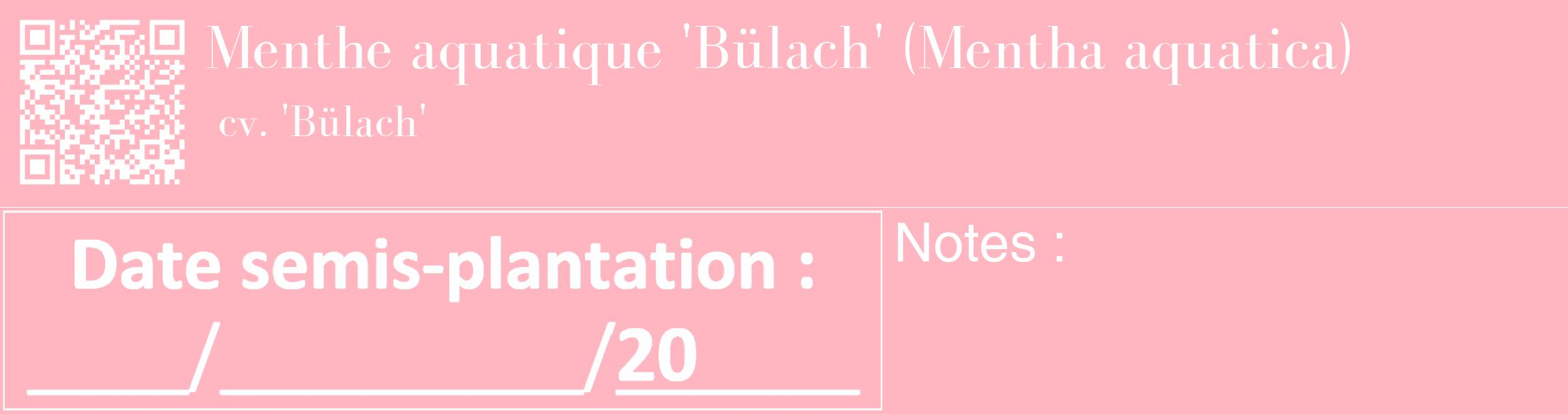 Étiquette de : Mentha aquatica cv. 'Bülach' - format c - style blanche41_basique_basiquebod avec qrcode et comestibilité