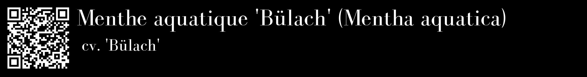 Étiquette de : Mentha aquatica cv. 'Bülach' - format c - style blanche59_basique_basiquebod avec qrcode et comestibilité