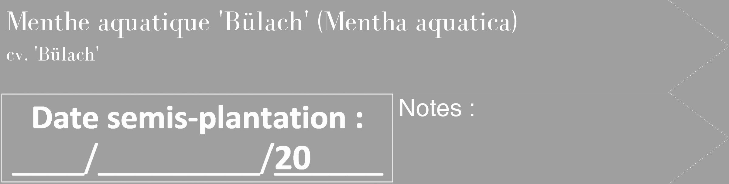 Étiquette de : Mentha aquatica cv. 'Bülach' - format c - style blanche24_simple_simplebod avec comestibilité