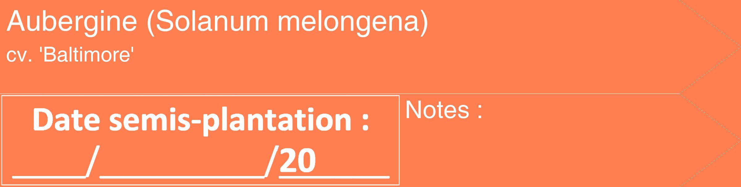 Étiquette de : Solanum melongena cv. 'Baltimore' - format c - style blanche24_simple_simplehel avec comestibilité