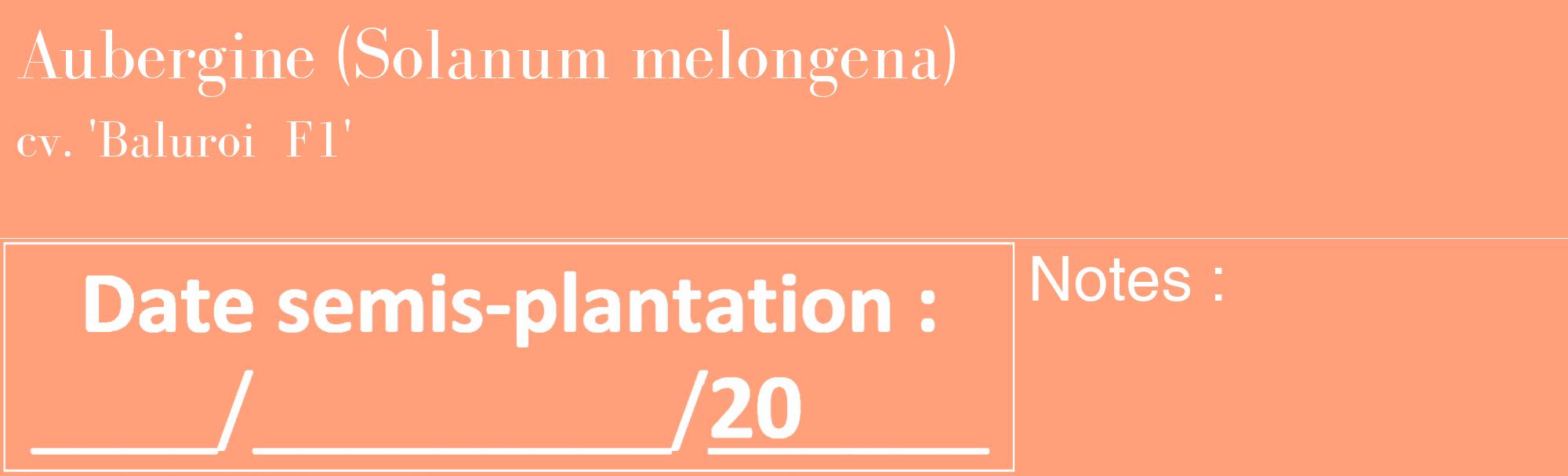 Étiquette de : Solanum melongena cv. 'Baluroi  F1' - format c - style blanche39_basique_basiquebod avec comestibilité