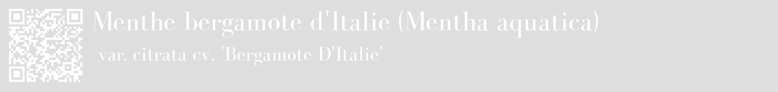 Étiquette de : Mentha aquatica var. citrata cv. 'Bergamote D'Italie' - format c - style blanche20_simple_simplebod avec qrcode et comestibilité