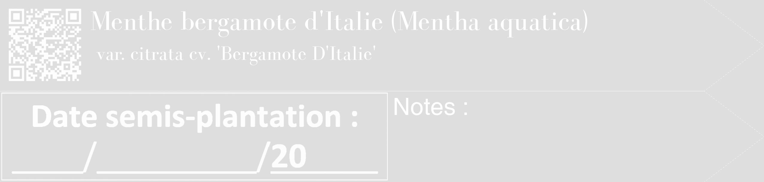 Étiquette de : Mentha aquatica var. citrata cv. 'Bergamote D'Italie' - format c - style blanche20_simple_simplebod avec qrcode et comestibilité