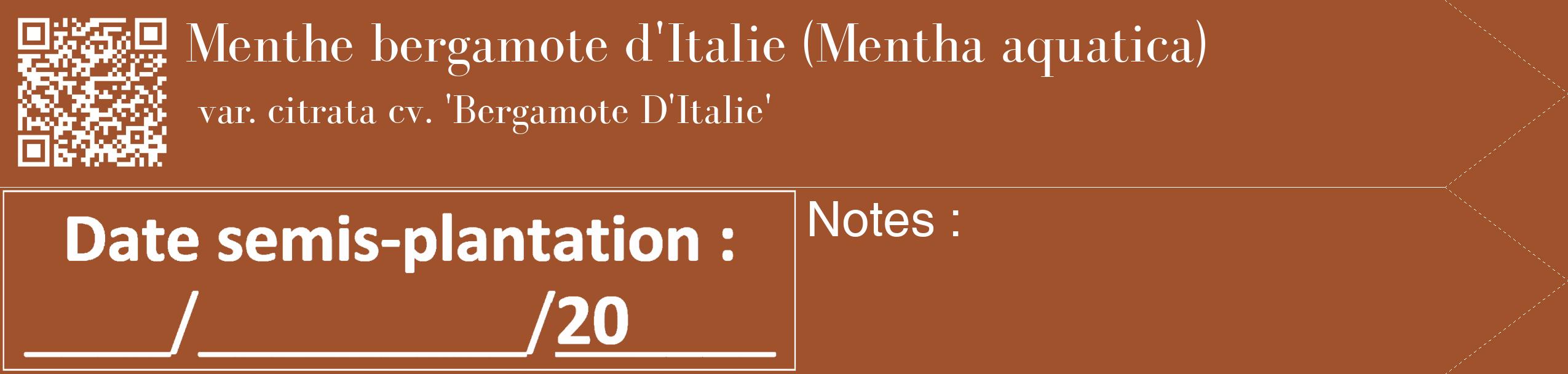 Étiquette de : Mentha aquatica var. citrata cv. 'Bergamote D'Italie' - format c - style blanche32_simple_simplebod avec qrcode et comestibilité