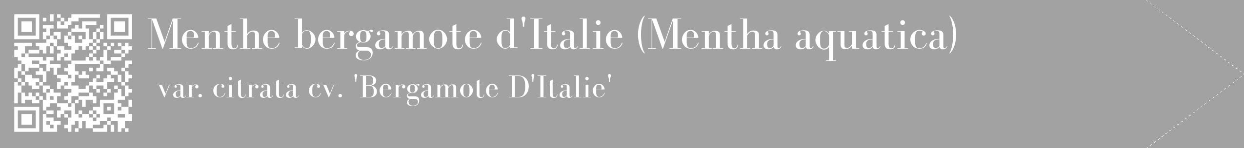 Étiquette de : Mentha aquatica var. citrata cv. 'Bergamote D'Italie' - format c - style blanche38_simple_simplebod avec qrcode et comestibilité