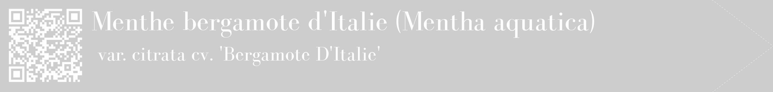 Étiquette de : Mentha aquatica var. citrata cv. 'Bergamote D'Italie' - format c - style blanche41_simple_simplebod avec qrcode et comestibilité