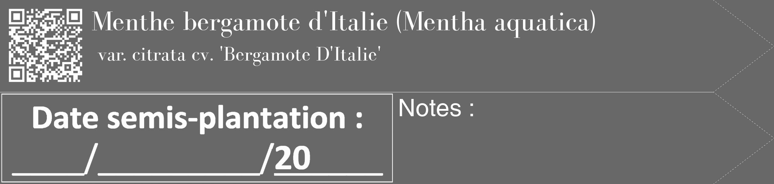 Étiquette de : Mentha aquatica var. citrata cv. 'Bergamote D'Italie' - format c - style blanche43_simple_simplebod avec qrcode et comestibilité