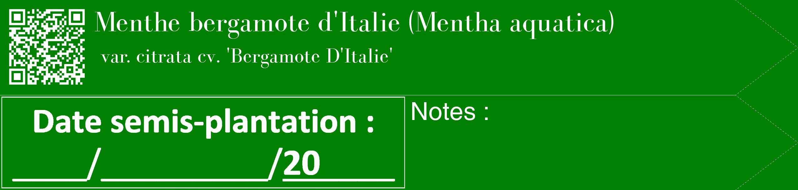 Étiquette de : Mentha aquatica var. citrata cv. 'Bergamote D'Italie' - format c - style blanche9_simple_simplebod avec qrcode et comestibilité