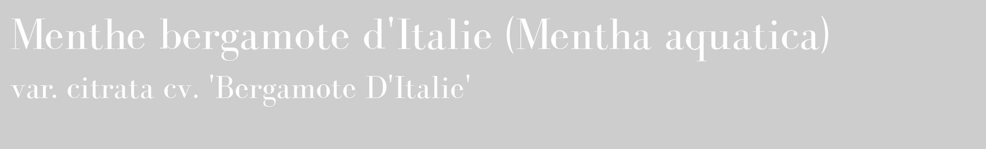 Étiquette de : Mentha aquatica var. citrata cv. 'Bergamote D'Italie' - format c - style blanche41_basique_basiquebod avec comestibilité