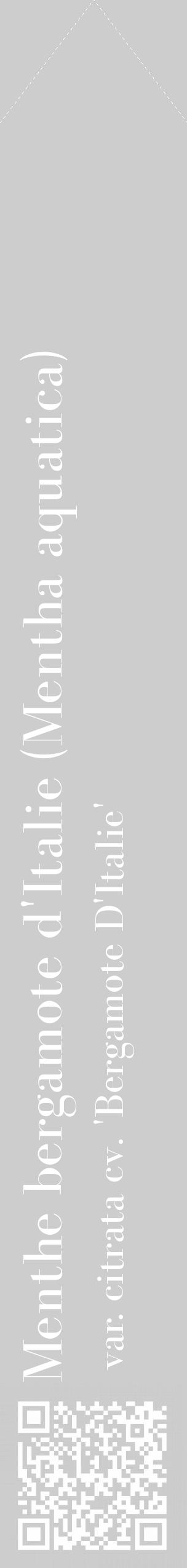 Étiquette de : Mentha aquatica var. citrata cv. 'Bergamote D'Italie' - format c - style blanche41_simple_simplebod avec qrcode et comestibilité - position verticale