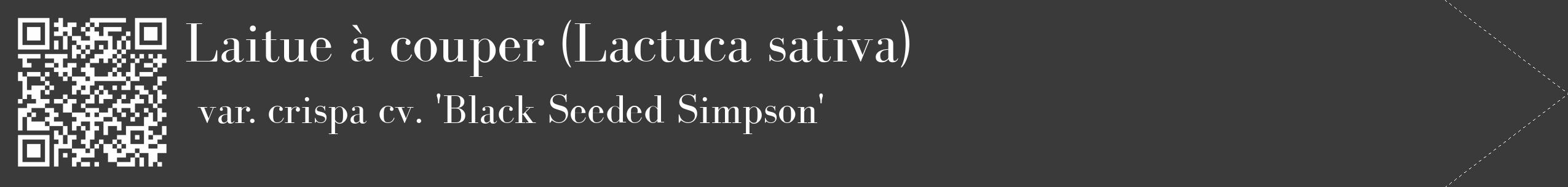 Étiquette de : Lactuca sativa var. crispa cv. 'Black Seeded Simpson' - format c - style blanche8_simple_simplebod avec qrcode et comestibilité
