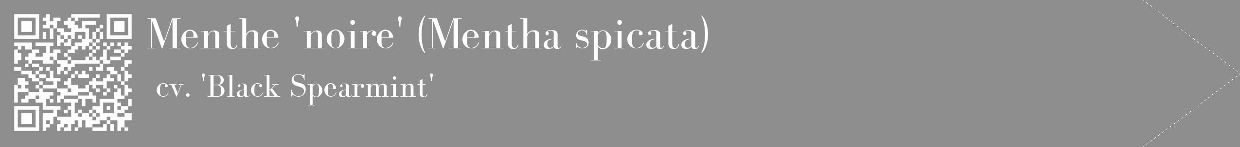 Étiquette de : Mentha spicata cv. 'Black Spearmint' - format c - style blanche25_simple_simplebod avec qrcode et comestibilité