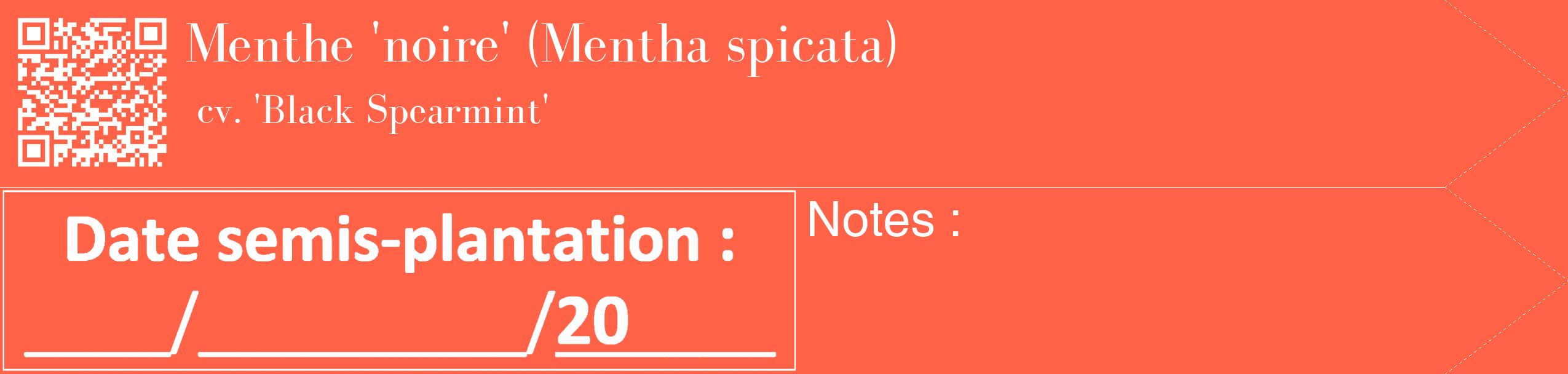 Étiquette de : Mentha spicata cv. 'Black Spearmint' - format c - style blanche25_simple_simplebod avec qrcode et comestibilité