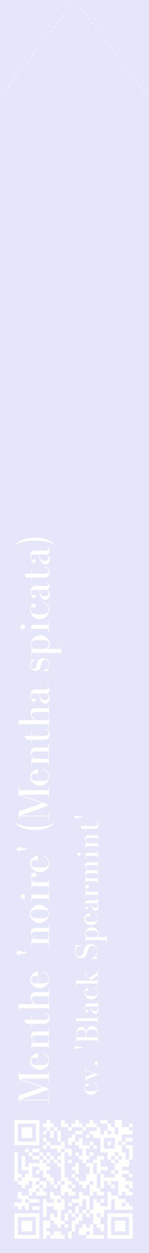 Étiquette de : Mentha spicata cv. 'Black Spearmint' - format c - style blanche55_simplebod avec qrcode et comestibilité