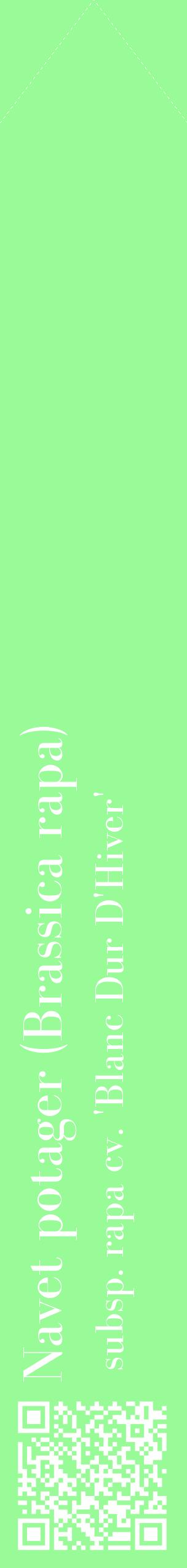 Étiquette de : Brassica rapa subsp. rapa cv. 'Blanc Dur D'Hiver' - format c - style blanche14_simplebod avec qrcode et comestibilité