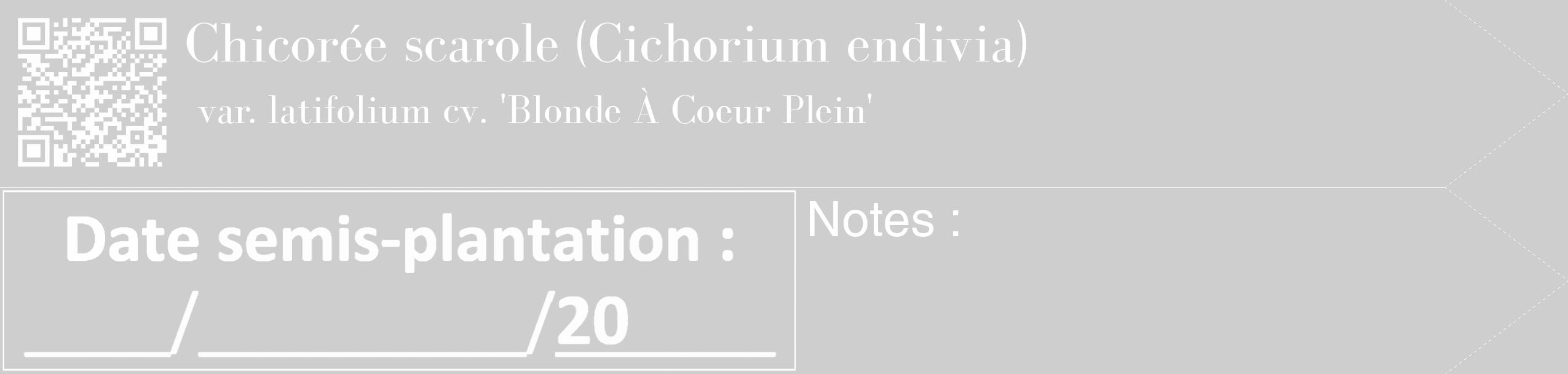 Étiquette de : Cichorium endivia var. latifolium cv. 'Blonde À Coeur Plein' - format c - style blanche17_simple_simplebod avec qrcode et comestibilité