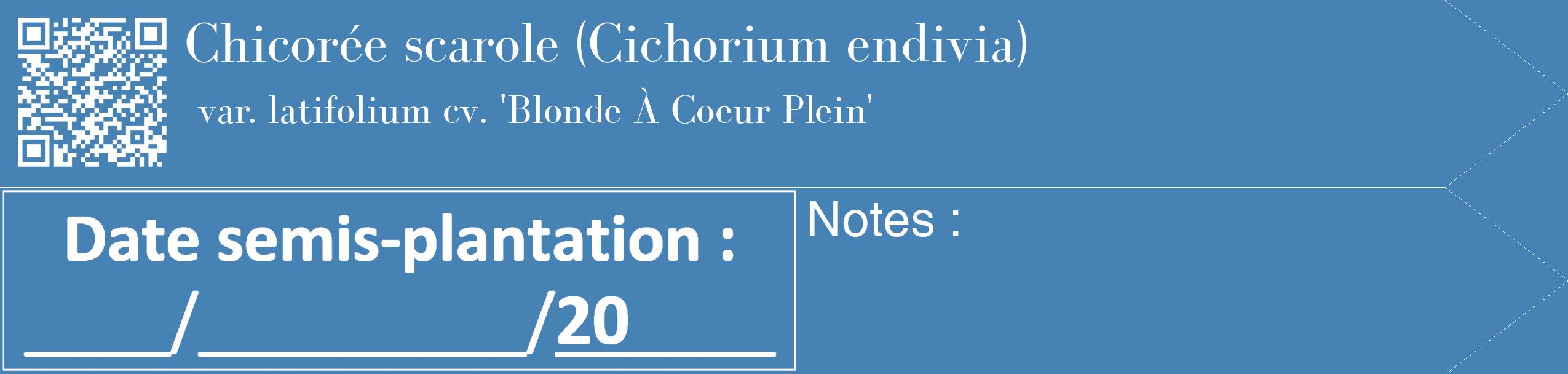Étiquette de : Cichorium endivia var. latifolium cv. 'Blonde À Coeur Plein' - format c - style blanche5_simple_simplebod avec qrcode et comestibilité