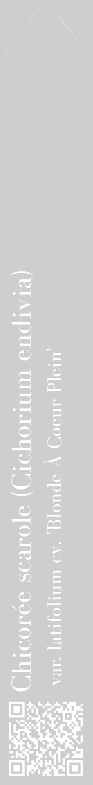 Étiquette de : Cichorium endivia var. latifolium cv. 'Blonde À Coeur Plein' - format c - style blanche17_simple_simplebod avec qrcode et comestibilité - position verticale